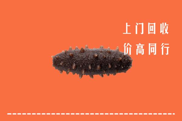 高价求购：咸阳市彬州市回收海参