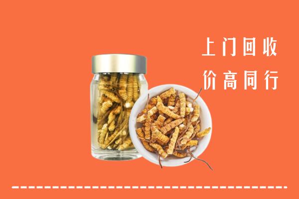 咸阳市彬州市回收冬虫夏草